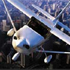 Celebrity Helicopters attraction information