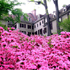 Winterthur Museum & Country Estate attraction information
