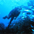 San Diego Excellent Adventures attraction information