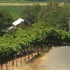 Wine Road - Ticket to the Wine Road attraction information
