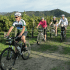 Napa & Sonoma Valley Bike Tours attraction information
