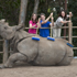San Diego Zoo attraction information