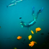 Beach Shoot San Diego (Kayak, Bike, Snorkel & Hike) attraction information