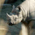 Columbus Zoo and Aquarium attraction information