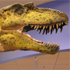 San Diego Natural History Museum attraction information