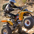 California Motorsports Adventours attraction information