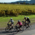 Napa & Sonoma Valley Bike Tours attraction information